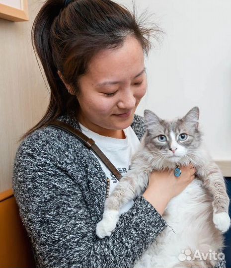 Скорая ветеринарная помощь. Ветеринарный врач