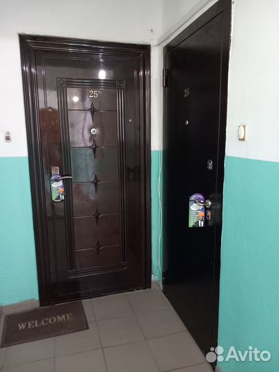 Распространение листовок