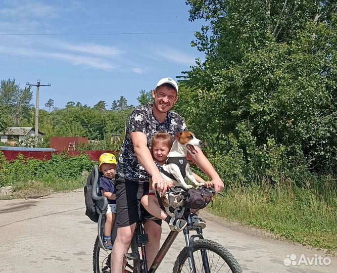 Собака для вязки