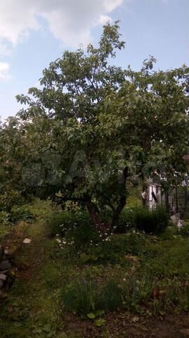 Дача 30 м² на участке 8 сот.