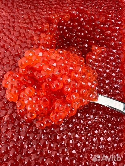 Красная икра Чавычи натуральная заводская