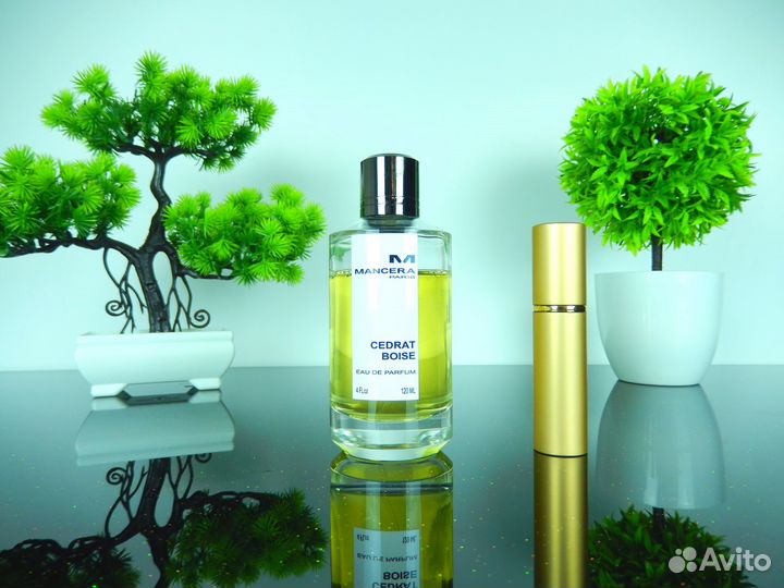 Mancera Cedrat Boise Отливант