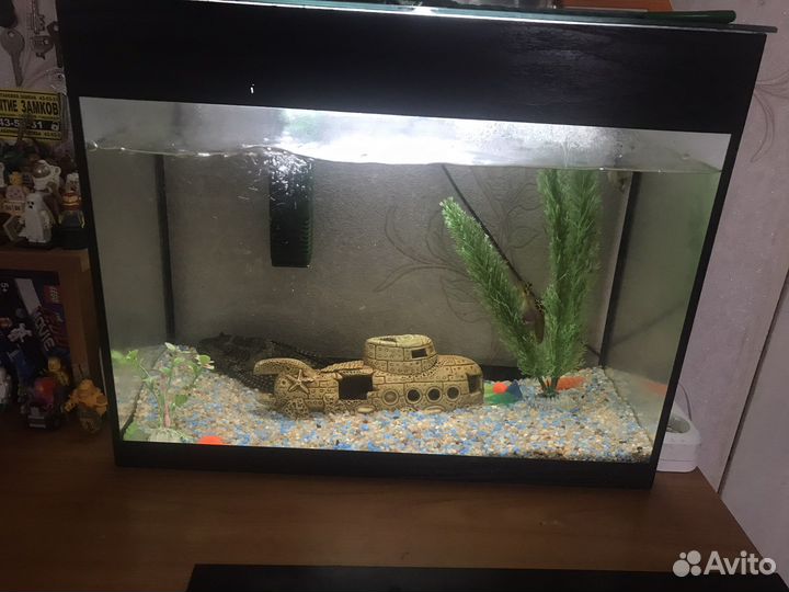 Аквариум