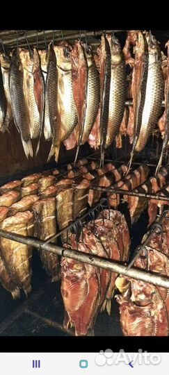 Сдам в аренду коптильные цеха