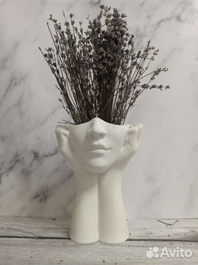 Медуза Горгона и мудрость