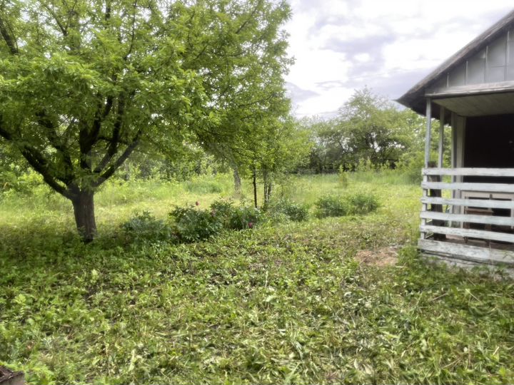 Участок 8 сот. (СНТ, ДНП)