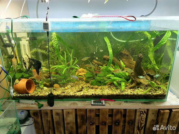 Аквариум