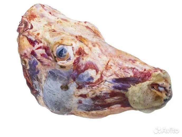 Головы, ливер,рубец