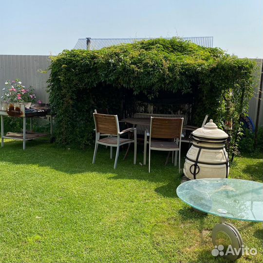 Многолетники для сада неприхотливые