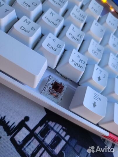 Механическая клавиатура panteon 60%
