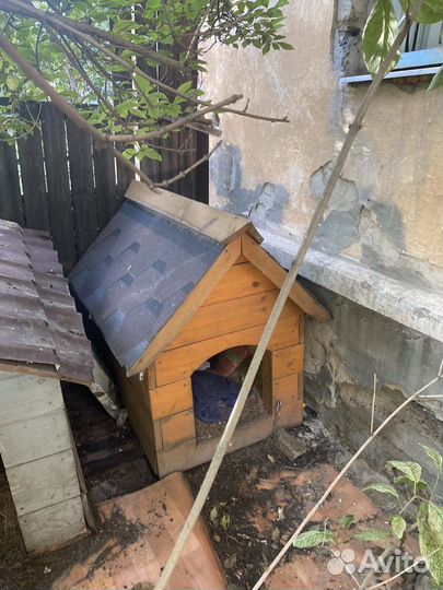 Продам будки для собак