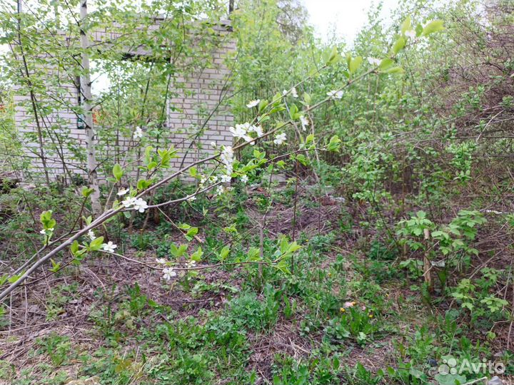 Благоустройство территорий