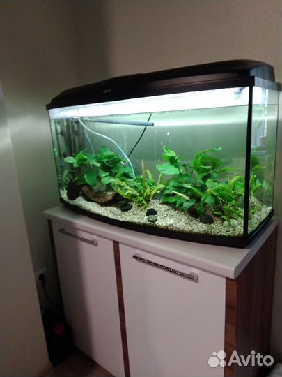Аквариум