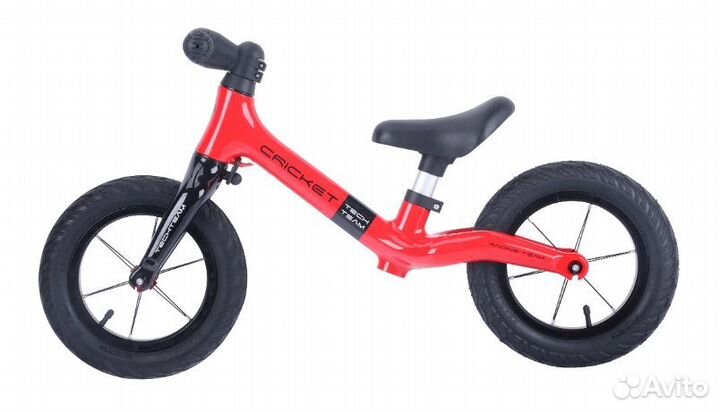 Tech Team Cricket 12