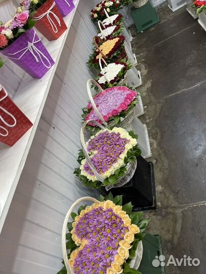 Тюльпаны к 8 марта оптом