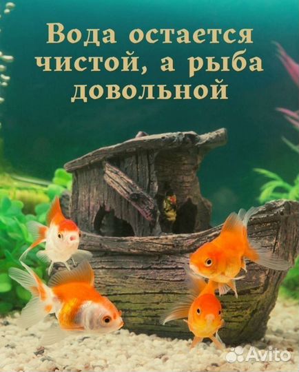 Корм для рыбок