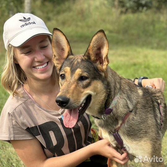 Луна. Беззащитный ребенок из приюта
