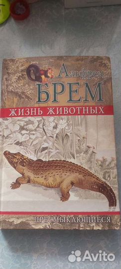 Книги для детей и подростков