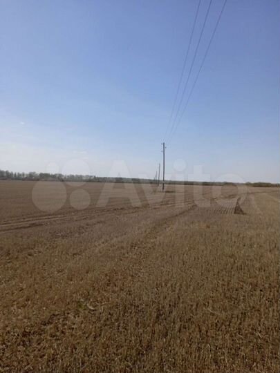 Участок 6,7 га (СНТ, ДНП)