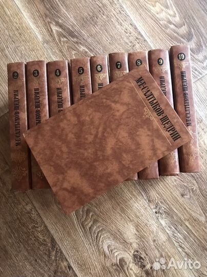 Салтыков Щедрин, В.Маяковский