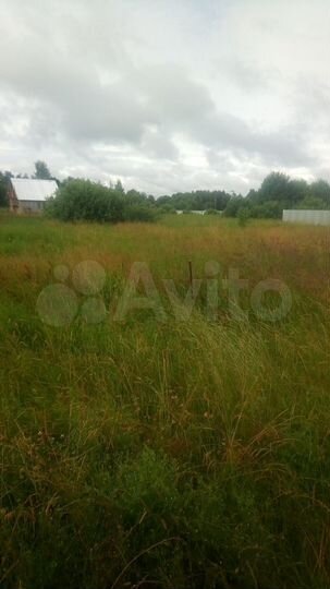 Участок 15,5 сот. (ИЖС)