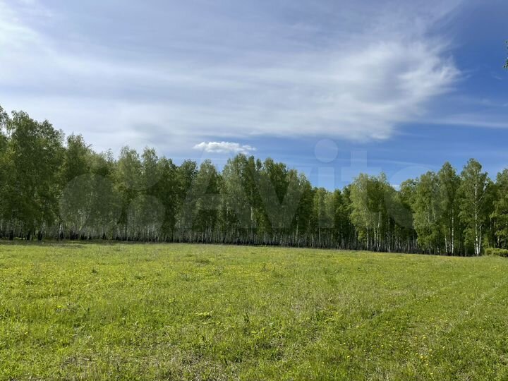 Участок 100 сот. (СНТ, ДНП)