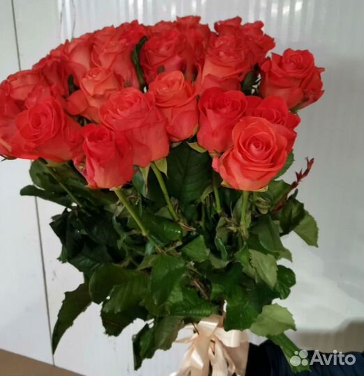 Розы букет цветов