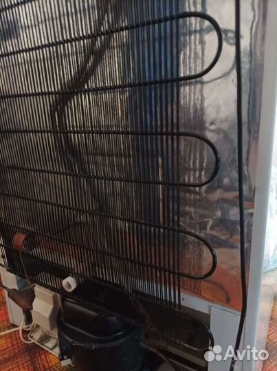 Холодильник Бирюса