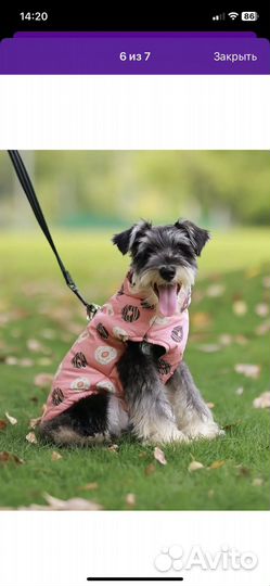 Жилетка для собак