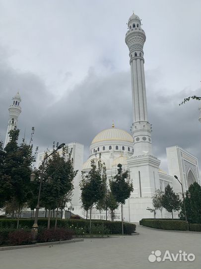 Мечети и города Чечни: Грозный, Аргун, Шали