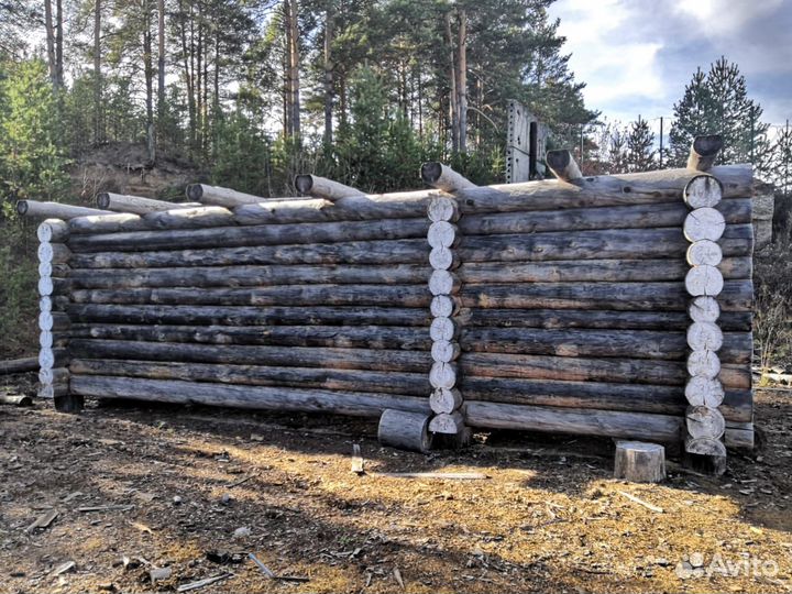 Сруб для бани из сосны 8х3