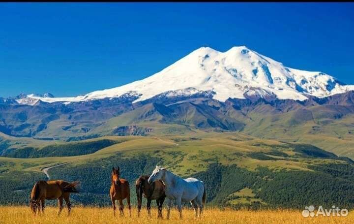 Такси комфорт кбр