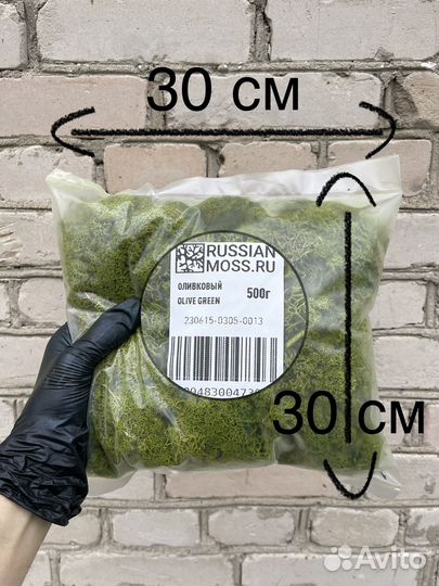 Стабилизированный мох, Оливковый