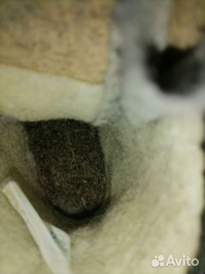 Валенки котофей