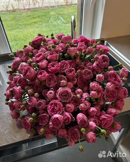 Кустовые розы / Пионовидные розы / Букет из роз