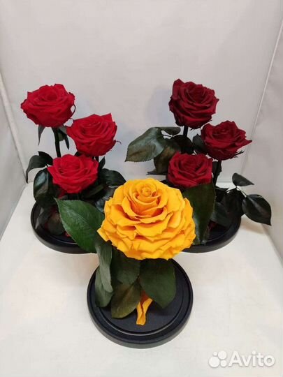 Стабилизированная роза в колбе