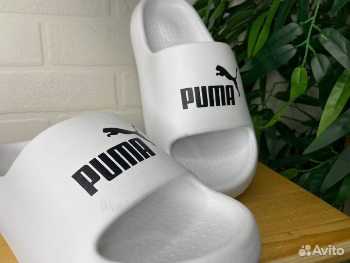 Шлепанцы Puma 41,42,43,44 новые