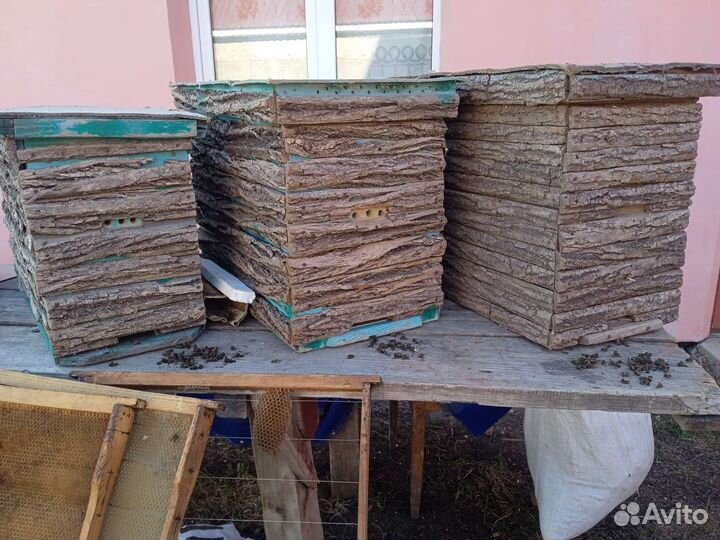 Ловушка для пчел