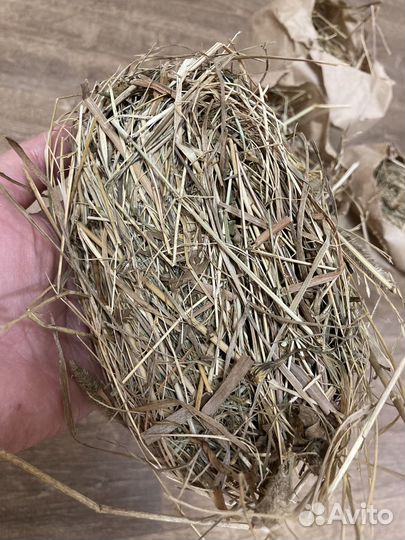 Сено для грызунов