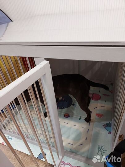 Вольер для собак