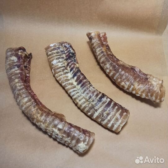Лакомства для собак