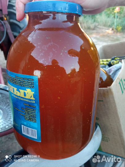 Мед подсолнечный