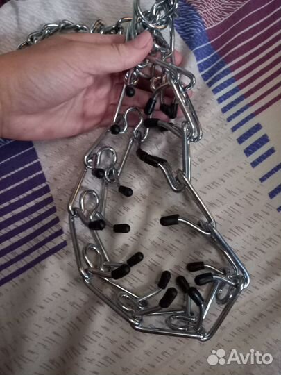 Ошейник для дресировки собак