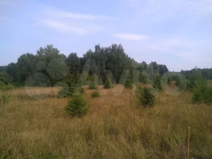 Участок 15 сот. (ИЖС)