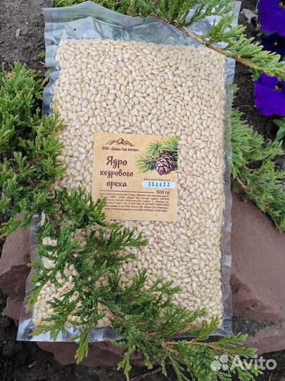 Кедровый орех