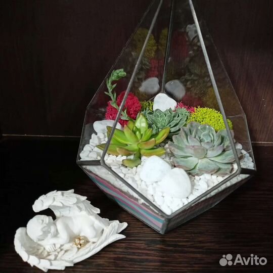 Флорариум из суккулентов