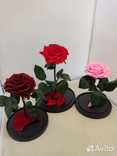 Роза в колбе опт и розница