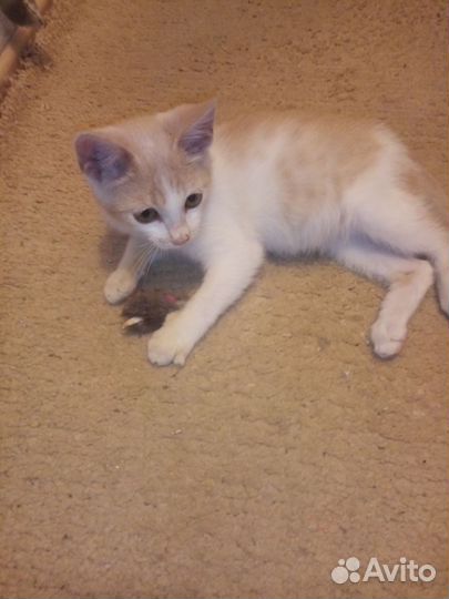 Милый малыш