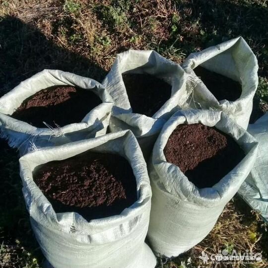 Торф в мешках