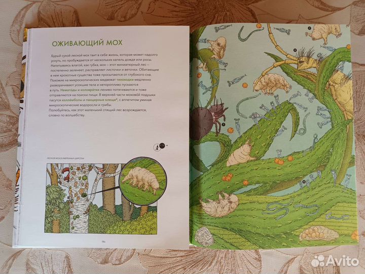 Книги издательства миф